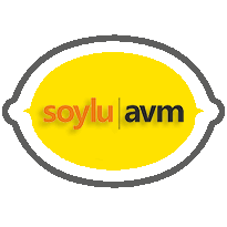 Soylu AVM